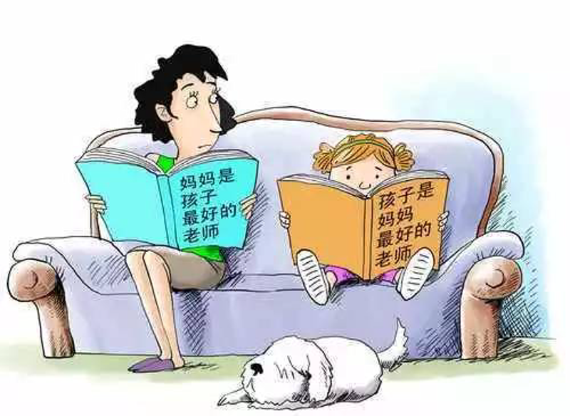延庆教育咨询行业的未来展望